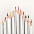 Load image into Gallery viewer, Veritas Colored Pencils 12 Pack