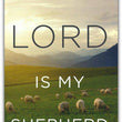 Load image into Gallery viewer, The Lord Is My Shepherd (KJV), Pack of 25 Tracts (Large Print)