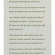 Load image into Gallery viewer, The Lord Is My Shepherd (KJV), Pack of 25 Tracts (Large Print)