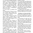 Load image into Gallery viewer, Personalizada Biblia Letra Grande Tam. Personal RVR 1960 Piel Imit. Marron