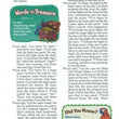 Load image into Gallery viewer, Personalized NIrV Adventure Bible for Kids Hardcover