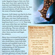 Load image into Gallery viewer, Sermon On The Mount Pamphlet