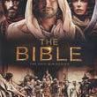 Load image into Gallery viewer, The Bible: The Epic Miniseries DVD