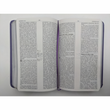 Load image into Gallery viewer, Personalized Biblia Mujer en el Espíritu (Lavanda) Reina-Valera 1960 (Spanish Edition)