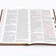 Load image into Gallery viewer, Personalized KJV Thinline Bible Giant Print Leathersoft Brown Thumb Indexed