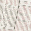 Load image into Gallery viewer, Personalized ESV Thinline Brown Natural Leather