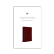 Load image into Gallery viewer, Personalized ESV Student Study Bible TruTone Chestnut