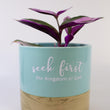Load image into Gallery viewer, Tradescantia 'Albiflora' Nanouk Live Plant in "Seek First The Kingdom Of God" Nursery Pot