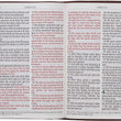 Load image into Gallery viewer, Personalized KJV Holy Bible Super Giant Print Brown Faux Leather Bible w/Ribbon Marker