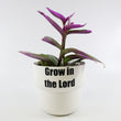 Load image into Gallery viewer, Tradescantia 'Albiflora' Nanouk Live Plant in "Grow In The Lord" Nursery Pot
