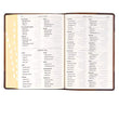 Load image into Gallery viewer, Personalized KJV Holy Bible Giant Print Full-Size Two-Tone Brown Faux Leather