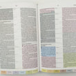 Load image into Gallery viewer, Personalized RVR 1960 Biblia de Estudio Arco Iris Chocolate símil piel Brown Leathertouch (Spanish Edition)