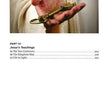 Load image into Gallery viewer, Ultimate Guide To Jesus, Revised & Updated