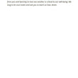 Load image into Gallery viewer, Saving Your Marriage Devotional - Dr. Les Parrott, Dr. Leslie Parrott