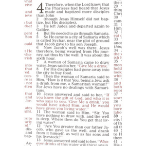 Personalized Custom Text Your Name NKJV Lighting The Way Home Family Bible Burgundy Padded Hardcover