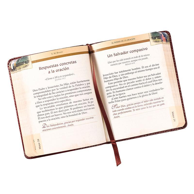 El poder de la oración (The Power of Prayer) - E.M. Bounds