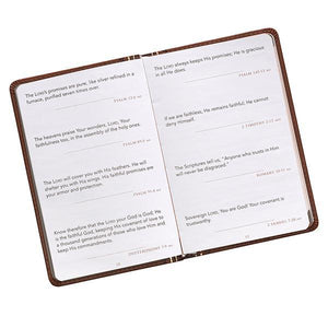 Promises from God for Every Man Brown Gift Book