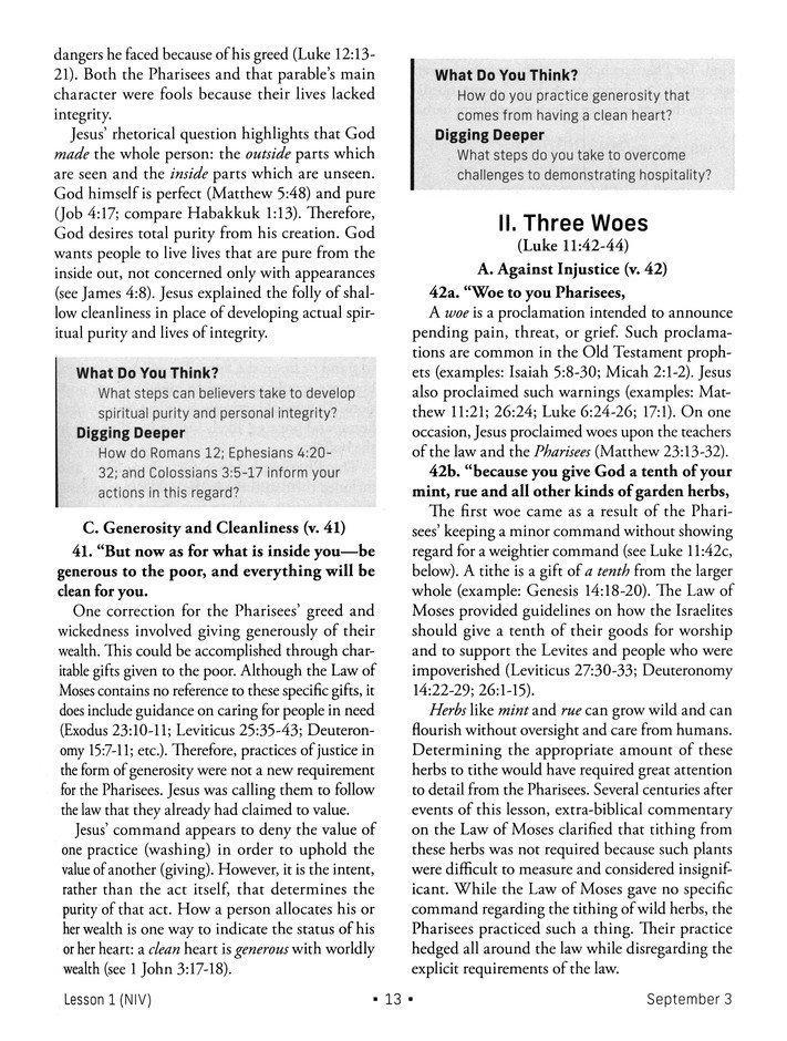 NIV Standard Lesson Commentary, Large Print Edition 2023-2024