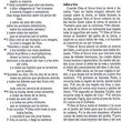Load image into Gallery viewer, Personalized Biblia NVI Edición Conmemorativa Color Cafe Cuero Genuino Página Dorada

