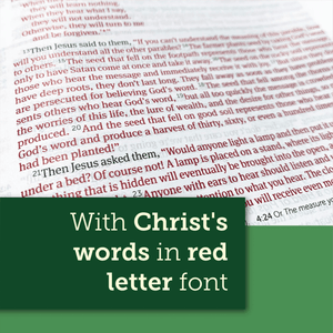 Personalized Custom Text Your Name NLT Life Application Study Bible Third Edition Red Letter LeatherLike Brown/Mahogany