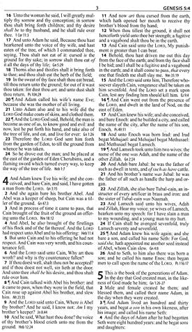 Personalized KJV Thinline Reference Bible Portable Brown