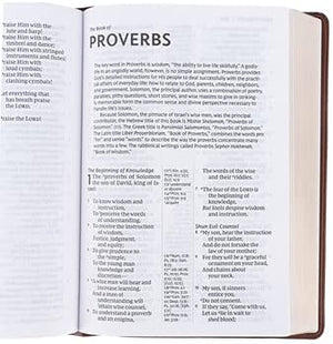 Personalized NKJV Reference Bible Center-Column Giant Print Red Letter Leathersoft Mahogany