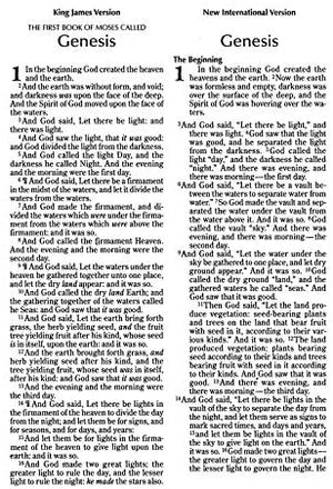 Personalized NIV and KJV Side-by-Side Bible Large Print Navy/Tan