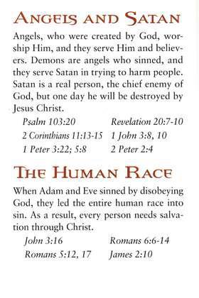 Bible Basics for New Believers Tract (Pack of 25)