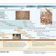 Load image into Gallery viewer, Kings &amp; Prophets Time Line Pamphlet
