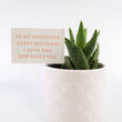 Load image into Gallery viewer, Aloe Nobilis &#39;Gold Tooth Aloe&#39; Succulent Plant in White Glass Coral Pattern Plant Pot
