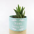 Load image into Gallery viewer, Aloe Nobilis &#39;Gold Tooth Aloe&#39; Succulent Plant in &quot;Jesus Loves Me&quot; Planter
