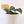 Load image into Gallery viewer, Scindapsus Pictus &#39;Exotica&#39; Live Plant in Modern White Ceramic Plant Pot
