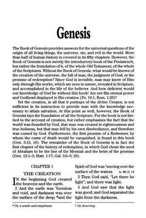 Personalized Custom Text NASB Giant Print Bonded Leather Burgundy New American Standard Bible