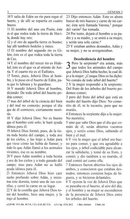 Personalizada Biblia Letra Grande Tam. Personal RVR 1960 Piel Imit. Marron