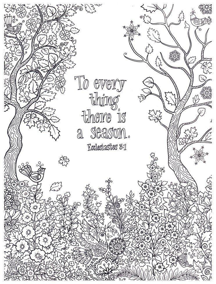 Bible Blessings & Promises, Coloring Book for Adults