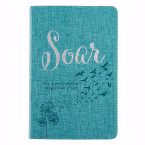 Soar: Rise In The Strength Of The Promises Of God's - CA Pub