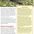 Load image into Gallery viewer, Parables Of Jesus Pamphlet
