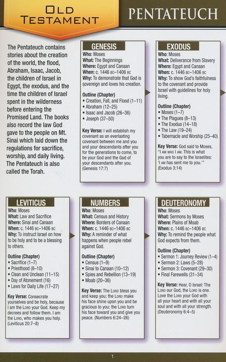 Bible Overview Pamphlet