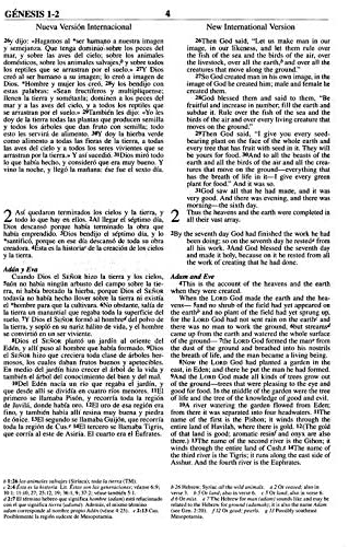 Personalized NIV/RVR 1960 Biblia Bilingue Dos Tonos Marron