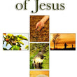Load image into Gallery viewer, Parables Of Jesus Pamphlet
