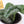 Load image into Gallery viewer, Scindapsus Pictus &#39;Exotica&#39; Live Plant in Modern White Ceramic Plant Pot
